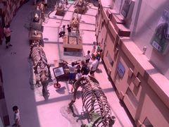 -陕西自然博物馆