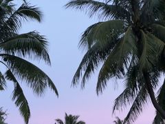 -海南清水湾莱佛士酒店