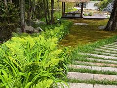 -苍龙峡风景区