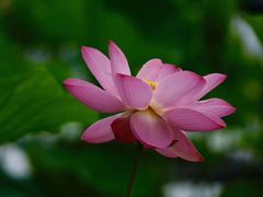 -龙口南山旅游景区