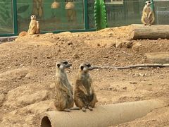 -秦皇岛野生动物园