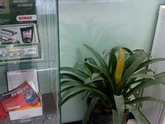 android_upload_pic-车艺尚上海龙膜隐形车衣汽车贴膜旗舰店