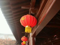 -祥源·阜阳生态乐园