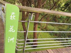 -西湖风景区-江洋畈生态公园