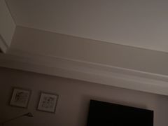 -上海波特曼丽思卡尔顿酒店