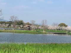 -良渚古城遗址公园