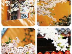 -龙华寺