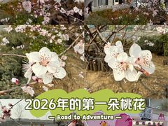 -北京华联购物中心(同成街店)