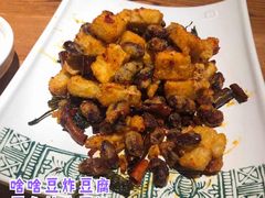 -云海肴·汽锅鸡·云南菜(高德置地店)