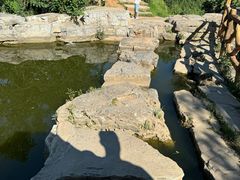 -北京西山国家森林公园