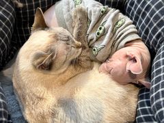 -藏猫猫咖啡主题馆(中央大道店)