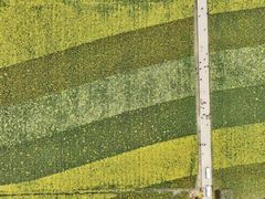 -中国天府农业博览园