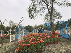 -都江堰玫瑰花溪谷