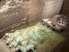 -秦始皇帝陵博物院-丽山园