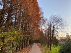 -贵阳市花溪国家城市湿地公园