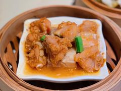 -点都德·毕德寮