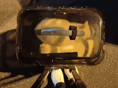 -沐沐家宠物(成寿寺店)