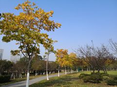 -尚贤河湿地