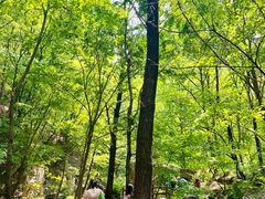 -西泰山风景区