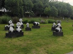 -桂溪生态公园