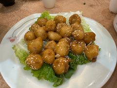 -金龙寨(龙城路店)