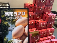 -单家老院·院子里的青岛菜(沙子口店)