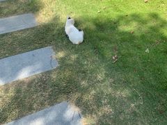 -上海海事大学(临港校区)