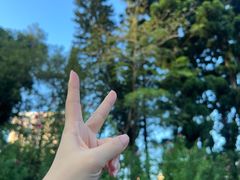 -荔枝公园(福田区)