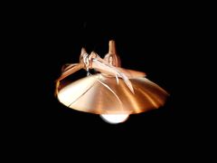 -毛辣果·酸(OHA复兴西路店)