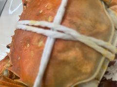 -蟹天蟹地农家菜·阳澄湖大闸蟹(浅水湾店)