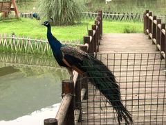 -无锡动物园·太湖欢乐园
