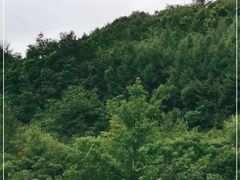 -丹东天桥沟景区