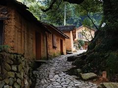 -杨家堂村