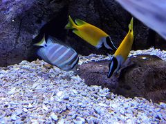 -成都浩海立方海洋公园