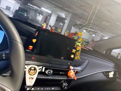 -上海鲜花港
