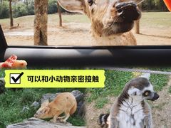 -杭州野生动物世界