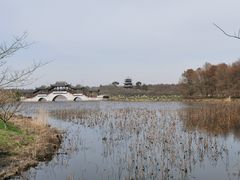 -上海海湾国家森林公园