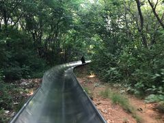 -富斯特索道