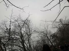 -九峰山
