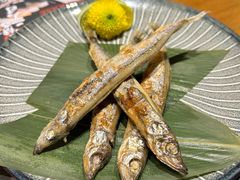 -傑·料理·海鲜放题(佛山文华荟店)