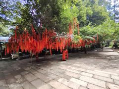 -青城山