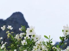 -玻璃桥景区石牛寨