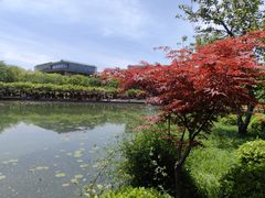 -嘉定紫藤园