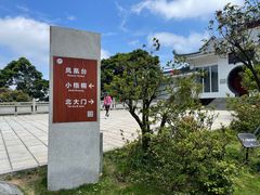 -梧桐山风景名胜区