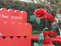 -成都欢乐谷