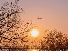 -宝安西湾红树林湿地公园