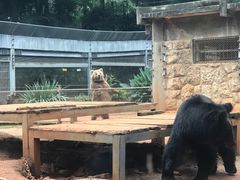 -昆明动物园
