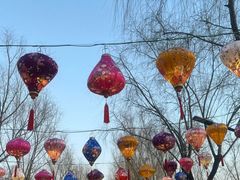 -青龙湖公园