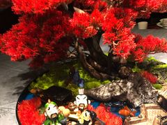 -红辣椒·川菜·火锅(张杨路店)