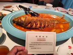 -阿五黄河大鲤鱼(纬三路店)